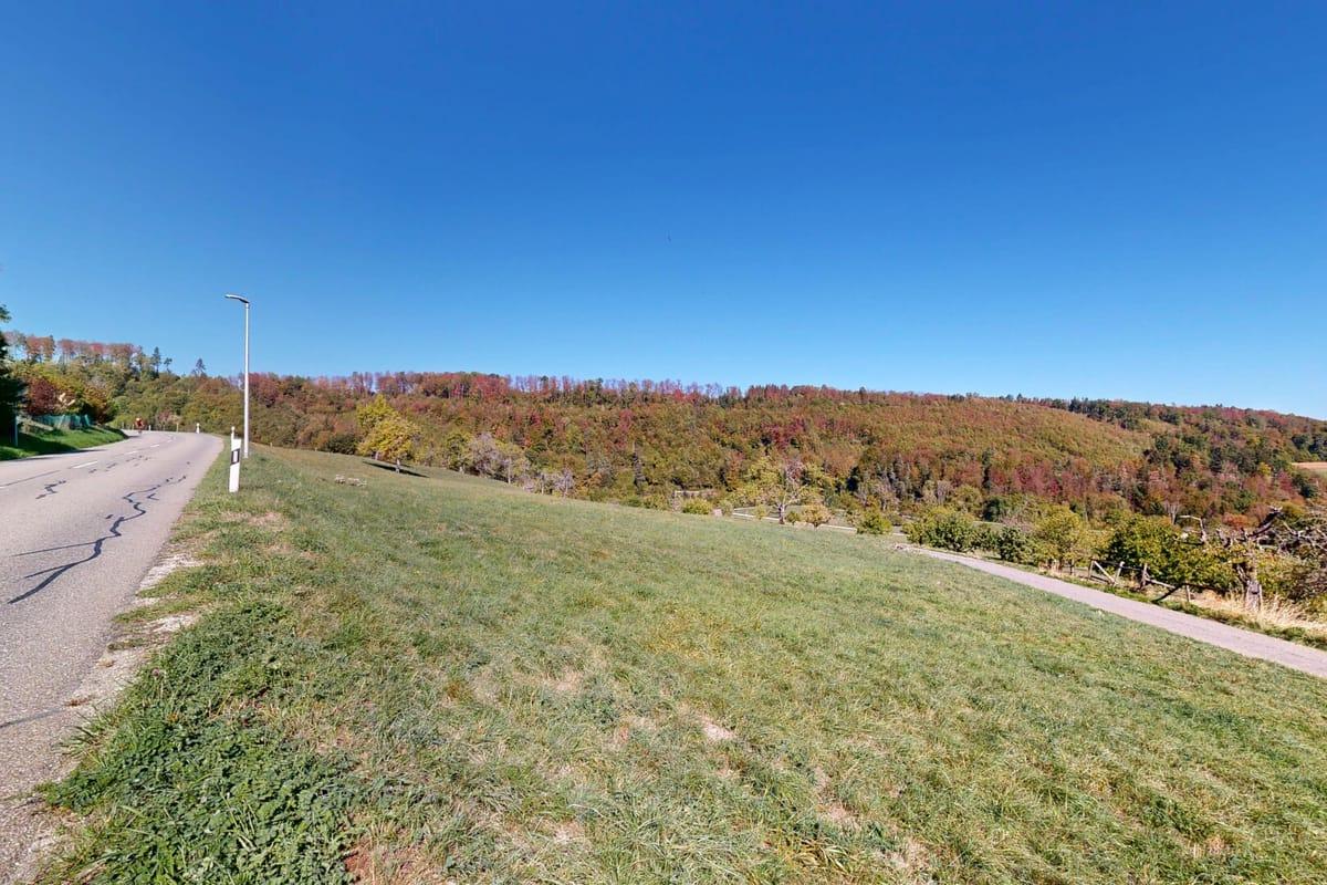 Photo de la propriété TER-4412-F2GN